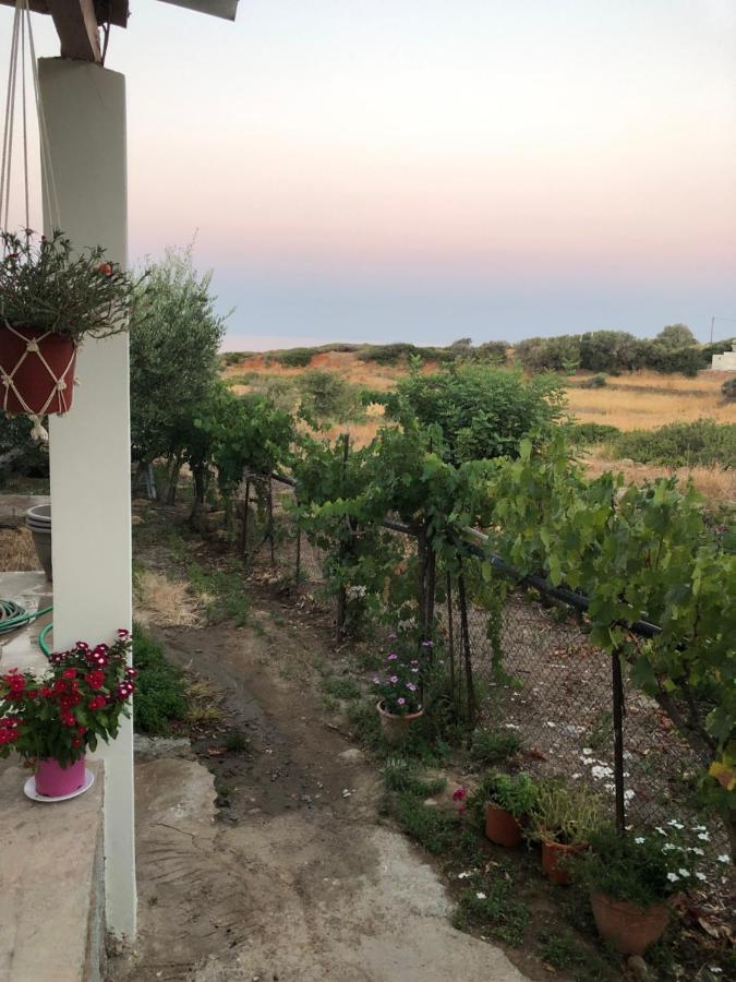 מונמבאסיה Ambelakia Bungalow מראה חיצוני תמונה