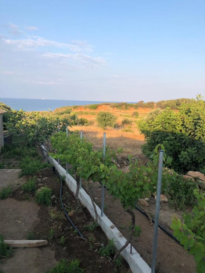מונמבאסיה Ambelakia Bungalow מראה חיצוני תמונה